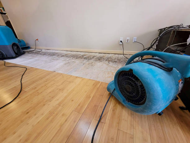 Professional Basement Flood Cleanup technician working in Cal Nev Ari, NV